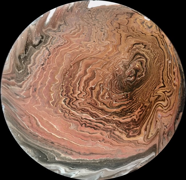 Tree Rings 1