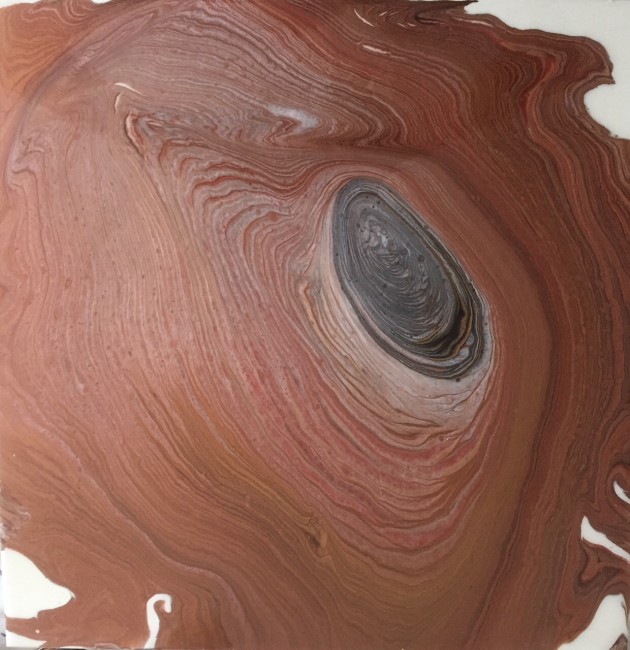 Tree Rings 2