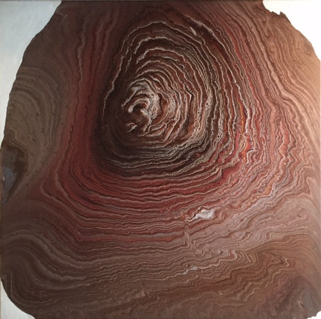 Tree Rings 3