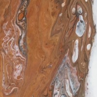 Tree Rings 5