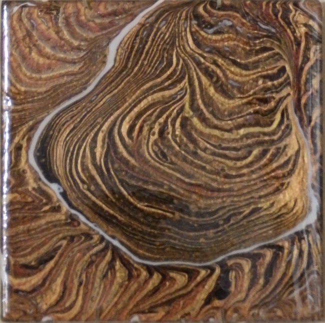 Tree Rings 6